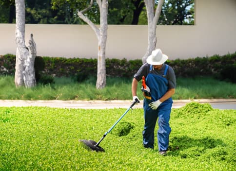 Portrait of the company About Brawny Lawns